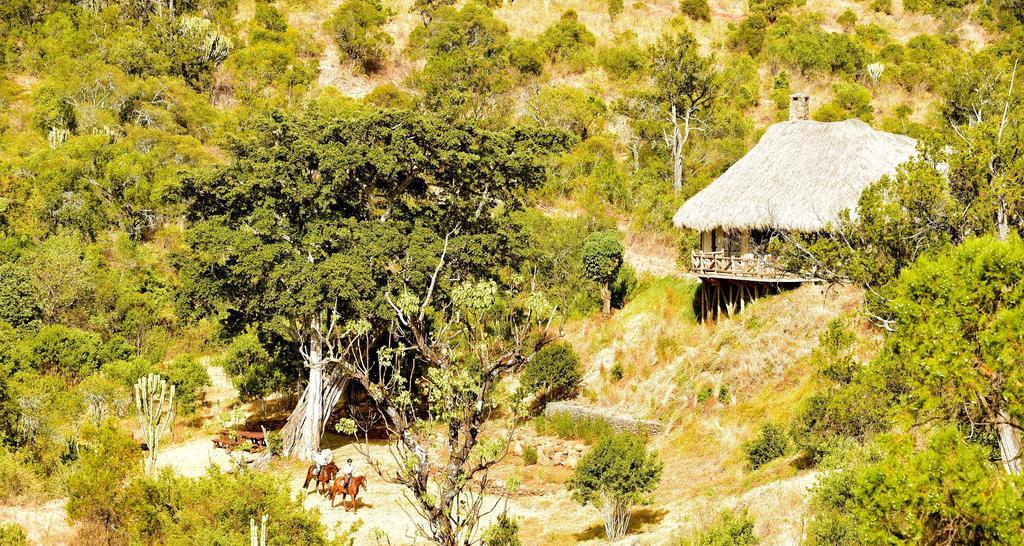 Villa Olepangi Farm Nanyuki Exterior foto