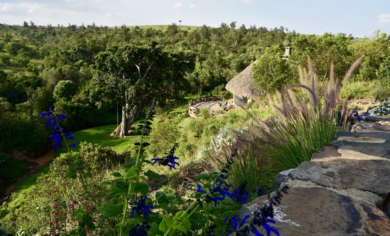 Villa Olepangi Farm Nanyuki Exterior foto
