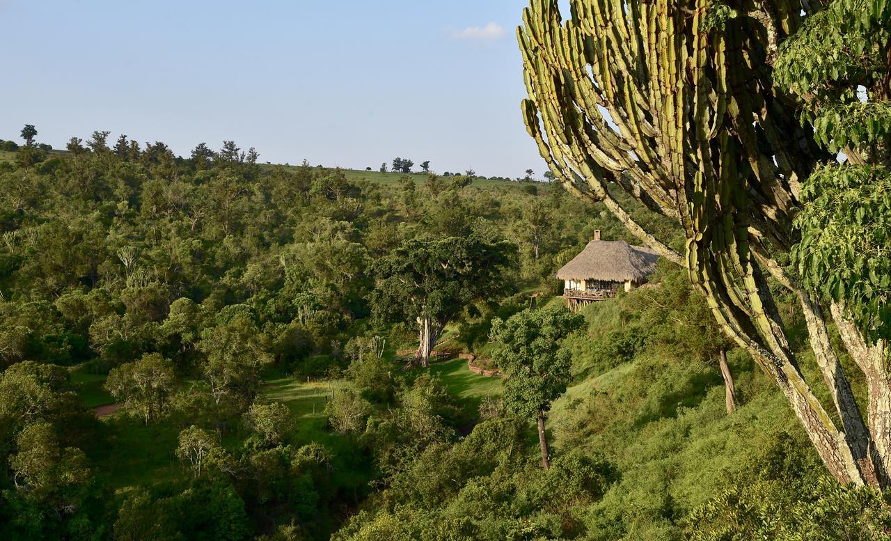 Villa Olepangi Farm Nanyuki Exterior foto
